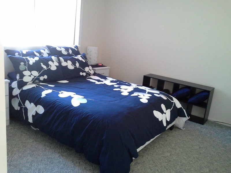 15 Fortune Street, Coomera QLD 4209