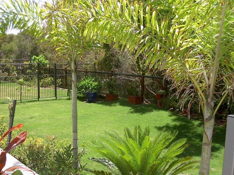 Mount Coolum QLD 4573