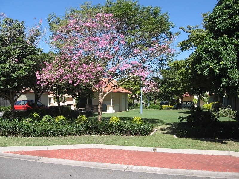 44/139 Pring Street, Hendra QLD 4011