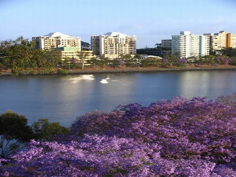 09/5 Duncan Street,, West End QLD 4101