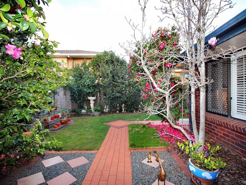 14 Petrina Street, Eight Mile Plains QLD 4113