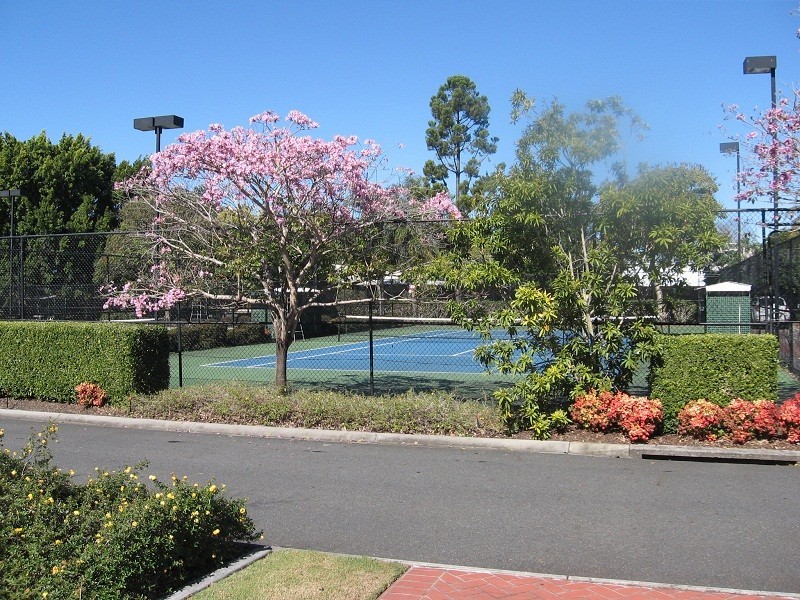 65/139 Pring Street, Hendra QLD 4011