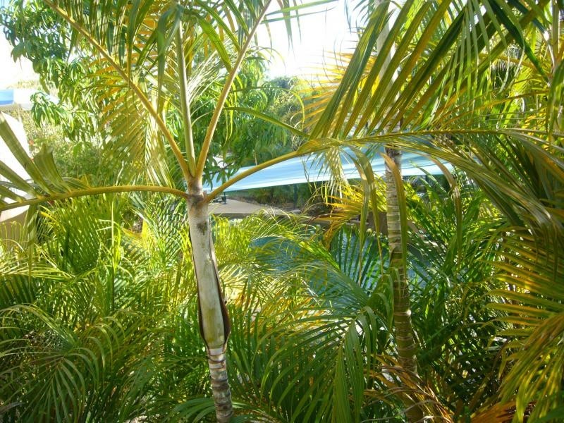 37/1 – 19 Poinciana Street, Holloways Beach QLD 4878