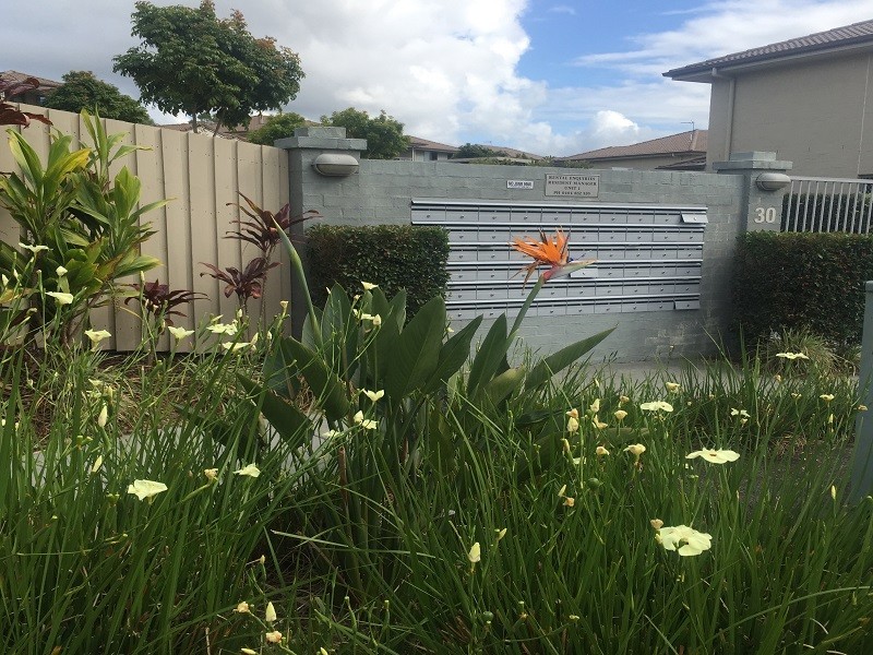 30 Carmarthen Circuit, Pacific Pines QLD 4211