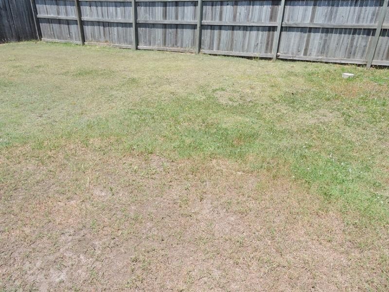 66 Lake Manchester, Logan Reserve QLD 4133