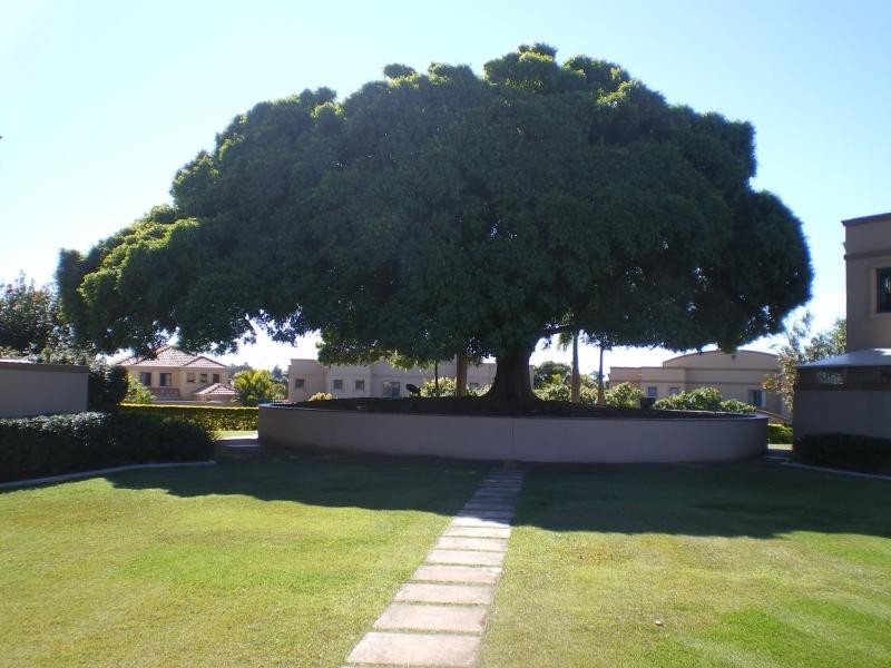 62/117 – 139 Palm Meadows Drive, Carrara QLD 4211