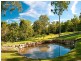 6 The Spur, Worongary QLD 4213