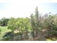 Mount Coolum QLD 4573