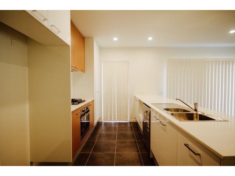 14 Sundew Terrace, Coomera QLD 4209