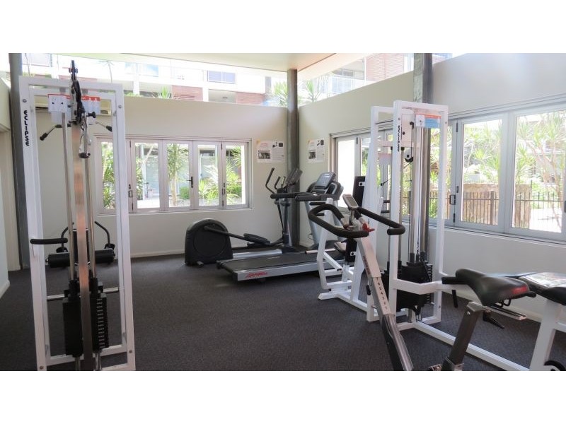 1/43 Love Street, Bulimba QLD 4171