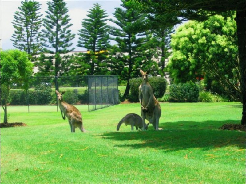 25/19 Santa Barbara Road, Hope Island QLD 4212