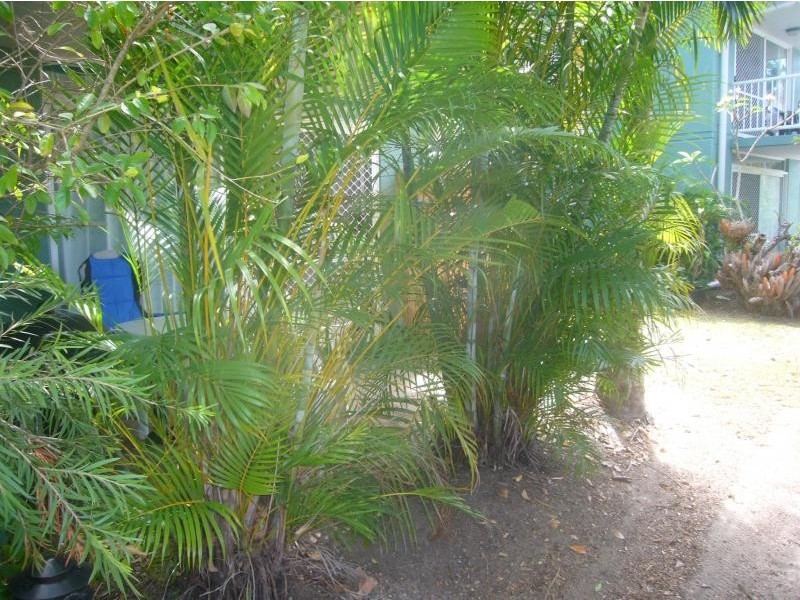 30/1 – 19 Poinciana Street, Holloways Beach QLD 4878