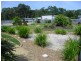 47 Sycamore Drive, Creekside, Currimundi QLD 4551