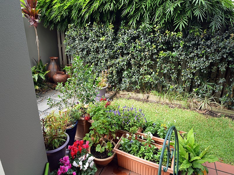 Upper Coomera QLD 4209