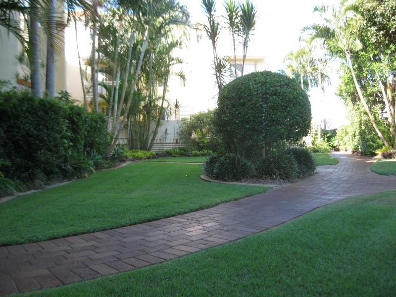 33/1200 Gold Coast Hwy, Palm Beach QLD 4221