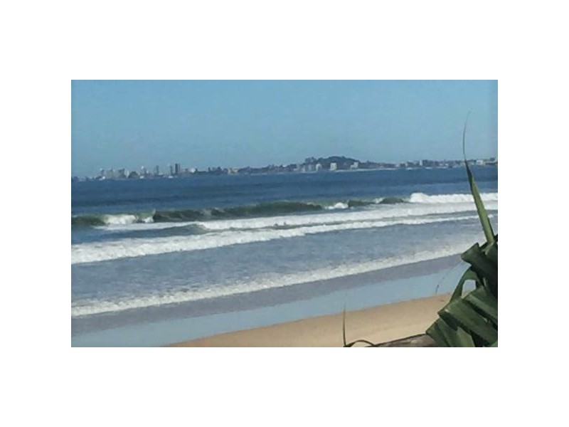 Miami QLD 4220