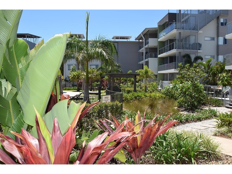 Mount Coolum QLD 4573