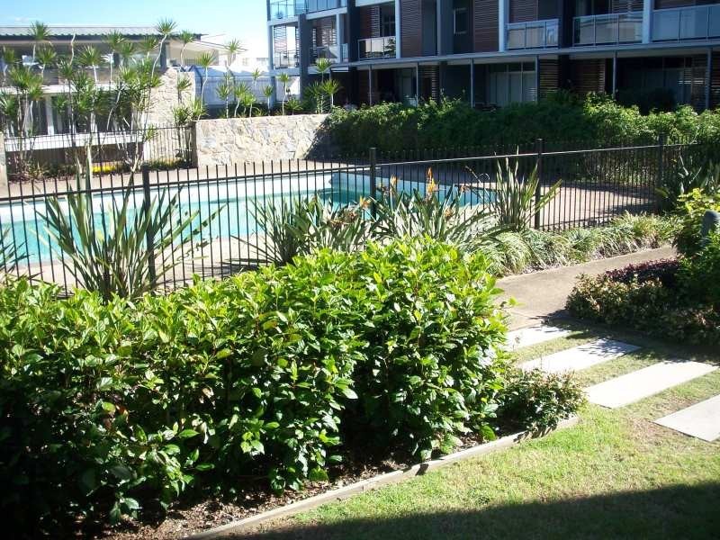 43 Love Street, Bulimba QLD 4171