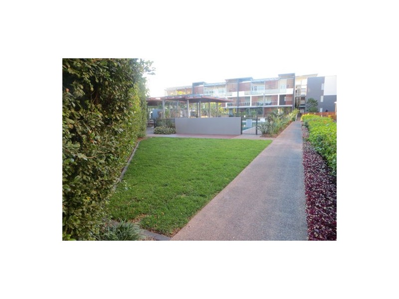 43 Love Street, Bulimba QLD 4171