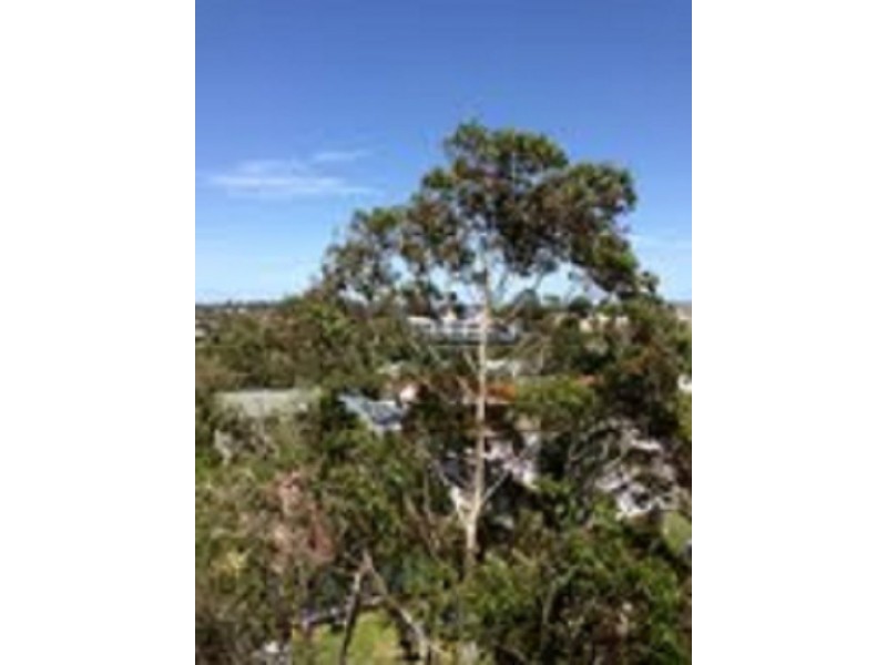 305/16 – 20 Sanders Street, Upper Mount Gravatt QLD 4122