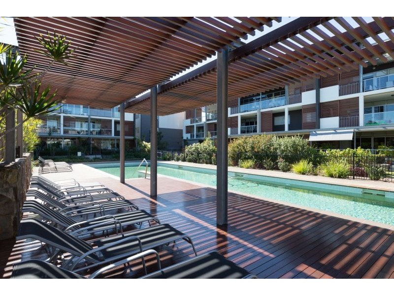 43 Love Street, Bulimba QLD 4171