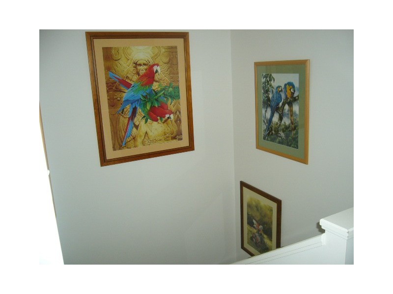 36/18 Tallebudgeera Creek Rd,, Burleigh Heads QLD 4220