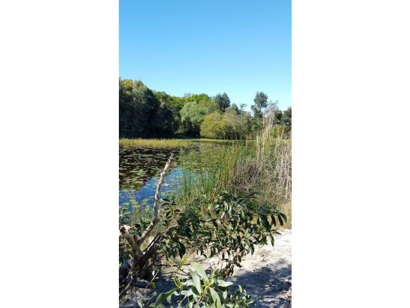 15 Catalina Drive, Mudjimba QLD 4564