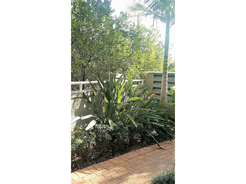 14/3650 Main Beach Parade, Main Beach QLD 4217