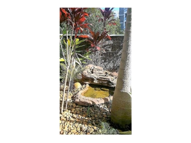 14/3650 Main Beach Parade, Main Beach QLD 4217