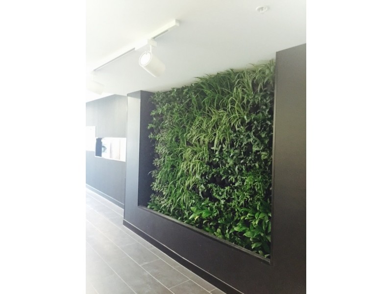 South Brisbane QLD 4101