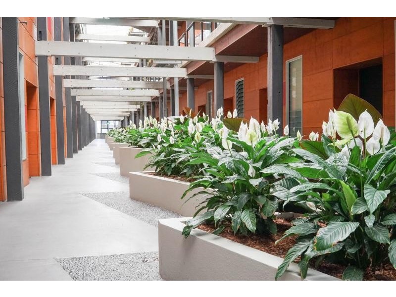 58/36 Vernon Terrace, Teneriffe QLD 4005