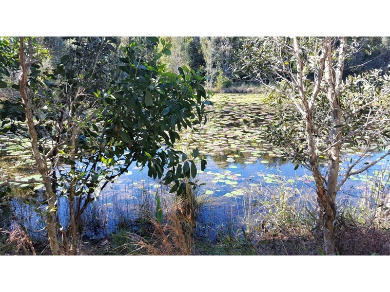 1/9 Suzanne Close, Mudjimba QLD 4564