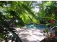 Palm Cove QLD 4879