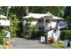 Palm Cove QLD 4879