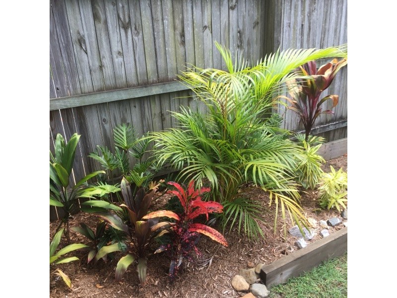 Upper Coomera QLD 4209