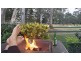 Tweed Heads NSW 2485