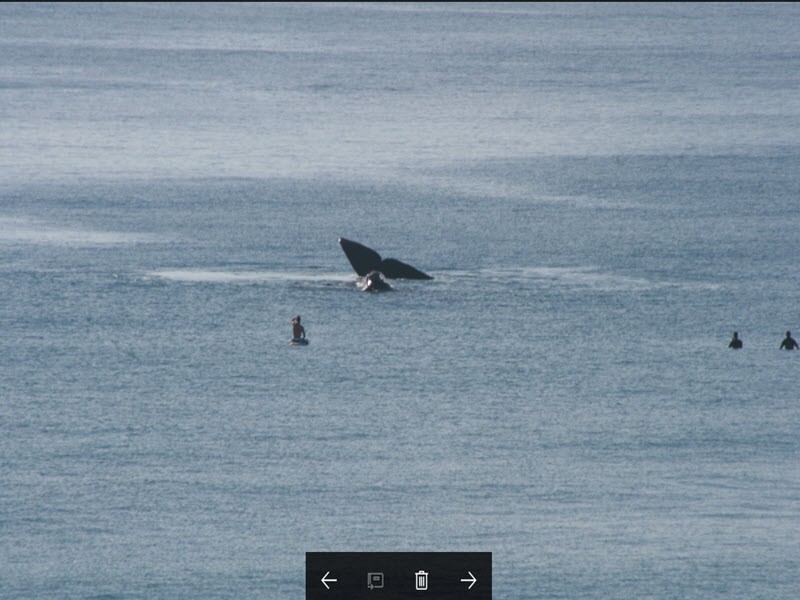 22/2 seventeenth Avenue, Palm Beach QLD 4221