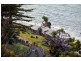 23/12 Goodwin Terrace, Burleigh Heads QLD 4220
