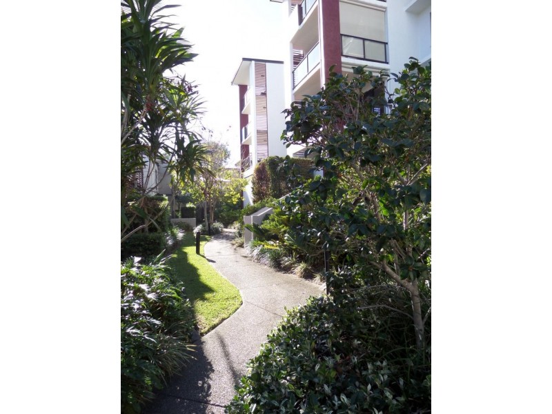 42/15 Kitchener Street., Coorparoo QLD 4151