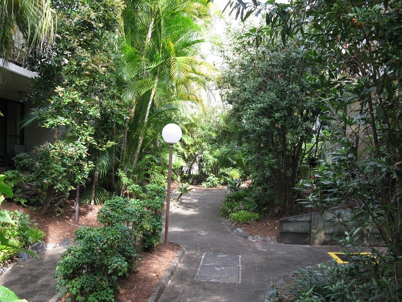 111 Markeri Street, Mermaid Waters QLD 4218