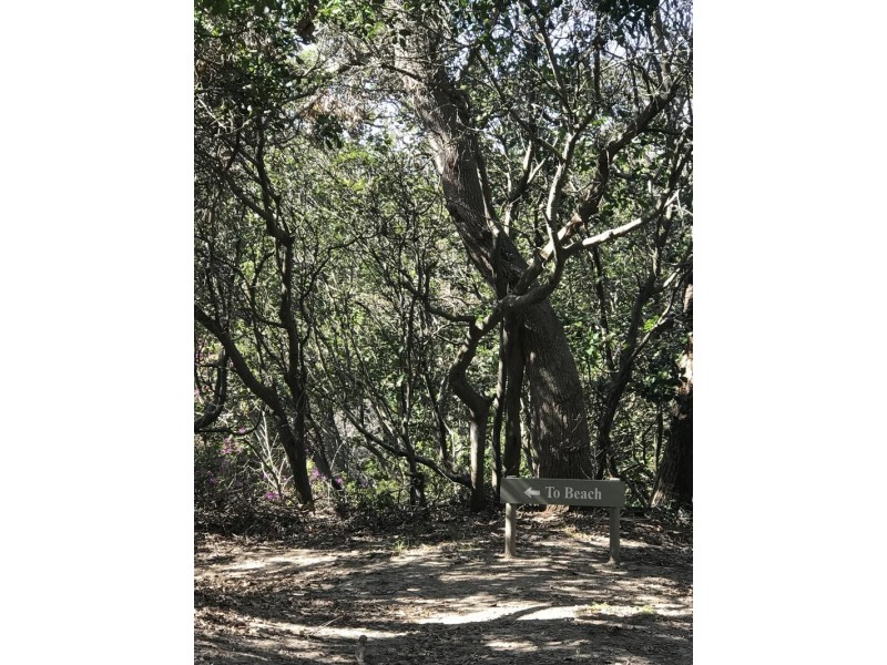 4/388 David Low Way, Peregian Beach QLD 4573