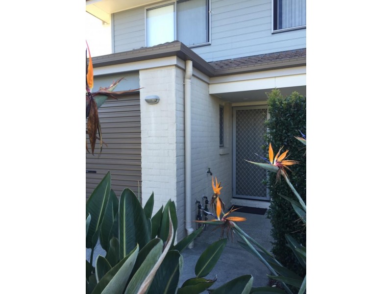 @/30 Carmarthen Circuit, Pacific Pines QLD 4211