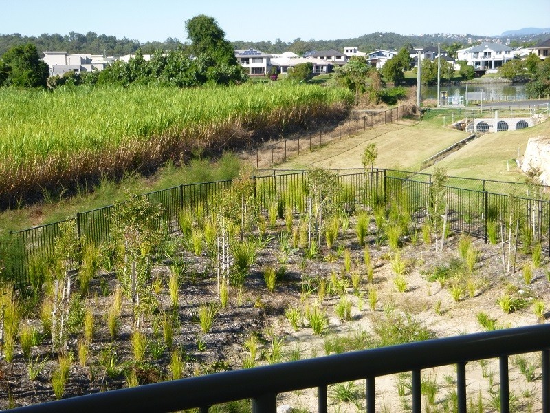 26 Yaun Street, Coomera QLD 4209