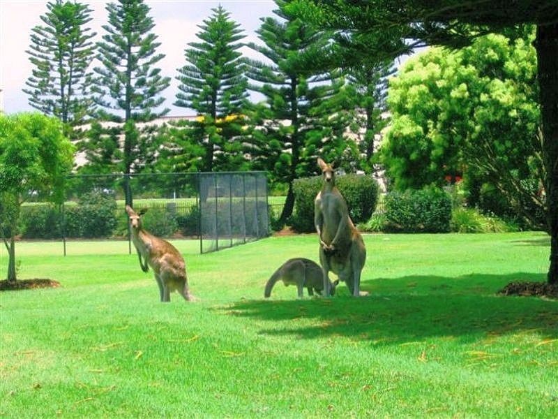 Lot 89/19 Santa Barbara Road, Hope Island QLD 4212