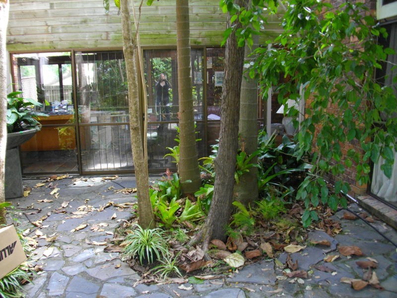 11 Dulhunty Street, Chapel Hill QLD 4069