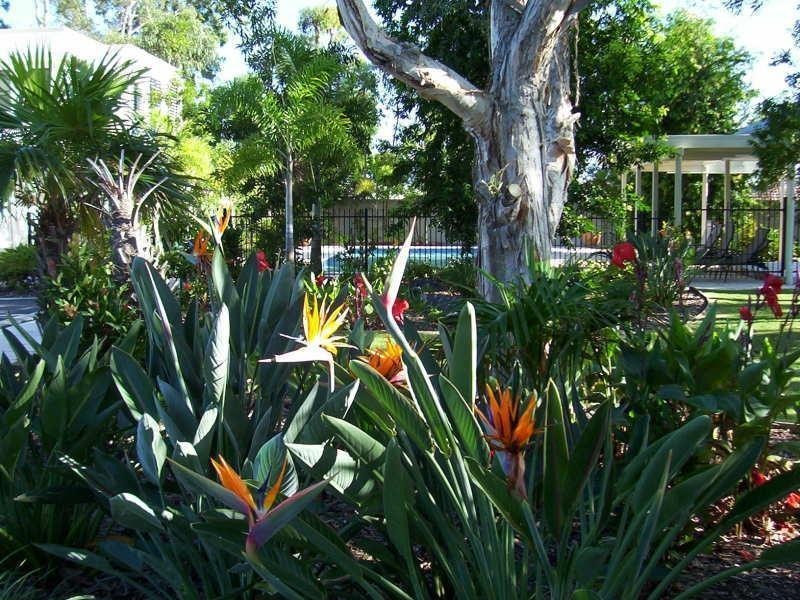 368 Pine Ridge Road, Runaway Bay QLD 4216