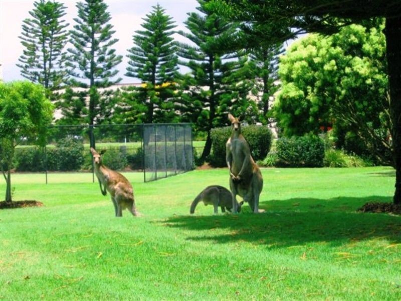 Lot 55/19 Santa Barbara Road, Hope Island QLD 4212