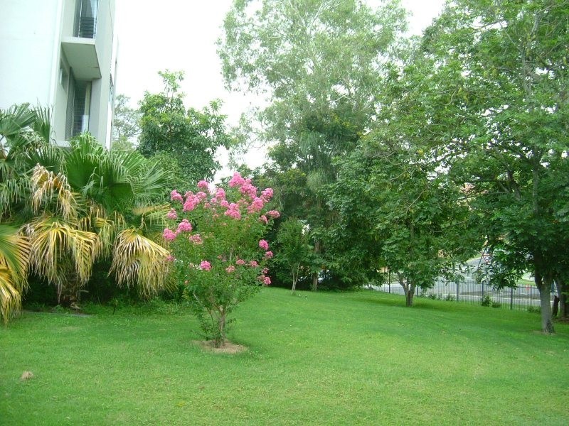 73/2 Campbell St, Toowong QLD 4066