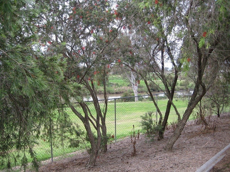 Waterford QLD 4133