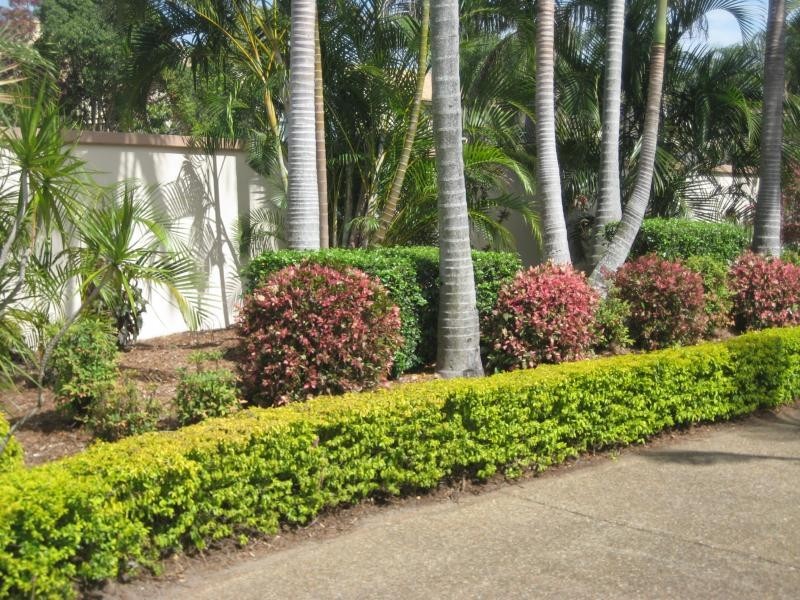 Runaway Bay QLD 4216